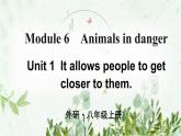 初中英语 外研（新标准）版 八年级上册Module 6 Animals in danger  Unit1 It allows people to get closer to them同步教案 课件 练习
