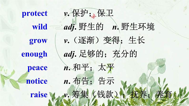 初中英语 外研（新标准）版 八年级上册Module 6 Animals in danger  Unit1 It allows people to get closer to them同步教案 课件 练习03