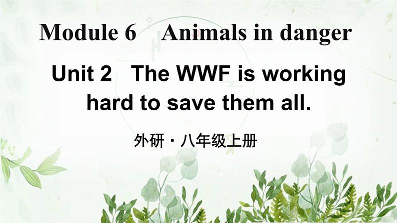 初中英语 外研（新标准）版 八年级上册Module 6 Animals in danger  Unit2 The WWF is working hard to save them all同步教案 课件 练习01