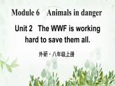 初中英语 外研（新标准）版 八年级上册Module 6 Animals in danger  Unit2 The WWF is working hard to save them all同步教案 课件 练习