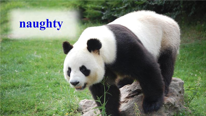 初中英语 外研（新标准）版 八年级上册Module 6 Animals in danger  Unit2 The WWF is working hard to save them all同步教案 课件 练习07