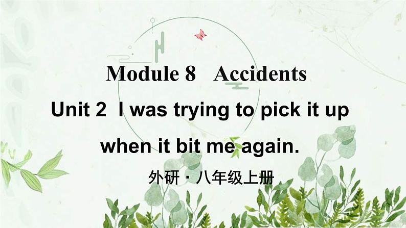初中英语 外研（新标准）版 八年级上册Module 8 Accidents Unit2 I was trying to pick it up when it bite me again同步教案 课件 练习01