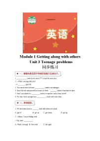 初中英语牛津译林版九年级上册Unit 3 Teenage problems练习