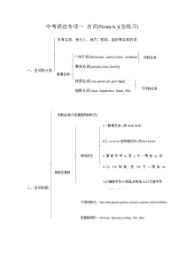 中考英语语法专项一  名词  无答案练习题