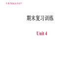 沪教牛津版九年级下册英语课件 期末复习训练 Unit 4