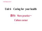 沪教牛津版九年级下册英语课件 Unit 6 课时6 More practice～Culture corner