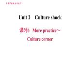 沪教牛津版九年级下册英语课件 Unit 2课时6 More practice～Culture corner