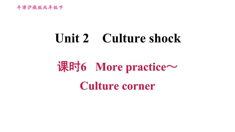 沪教牛津版九年级下册英语课件 Unit 2课时6 More practice～Culture corner01