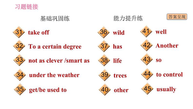 沪教牛津版九年级下册英语课件 Unit 2课时6 More practice～Culture corner04