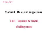 外研版九年级下册英语 Module 4 习题课件