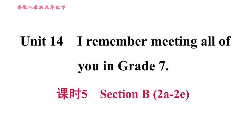 人教版九年级下册英语 Unit 14 习题课件01