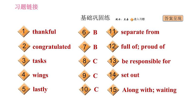 人教版九年级下册英语 Unit 14 习题课件02