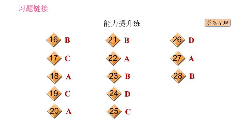 人教版九年级下册英语 Unit 14 习题课件03