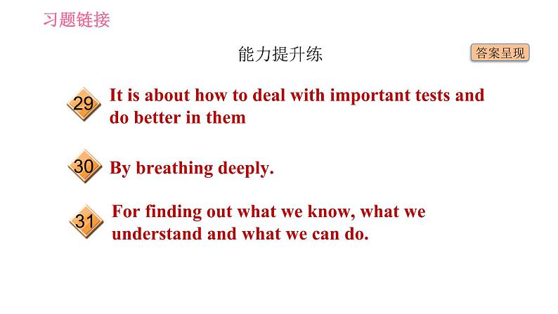 人教版九年级下册英语 Unit 14 习题课件04