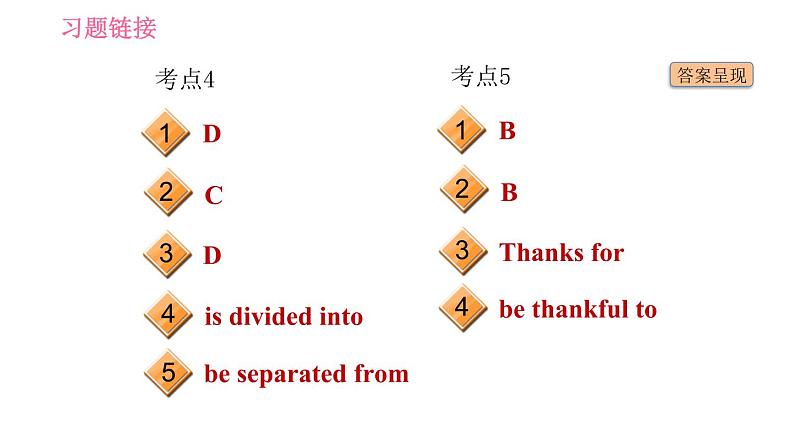 人教版九年级下册英语 Unit 14 习题课件03