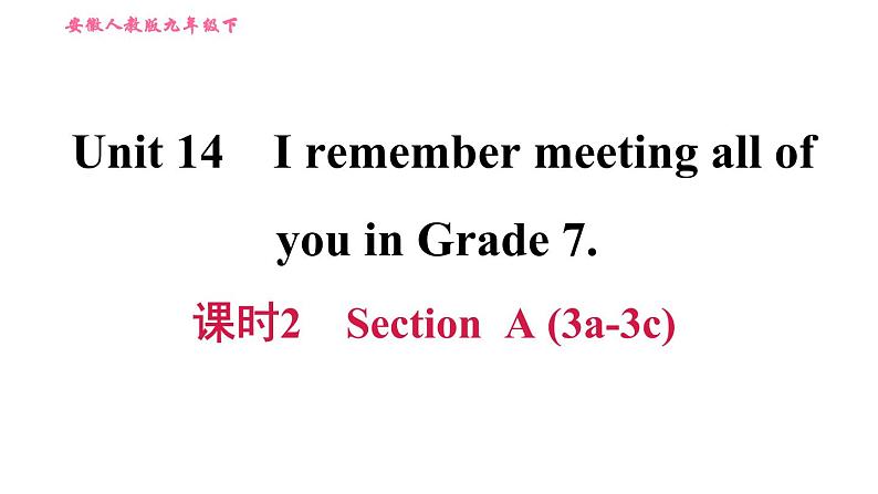 人教版九年级下册英语 Unit 14 习题课件01