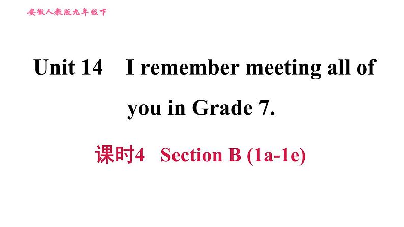 人教版九年级下册英语 Unit 14 习题课件01