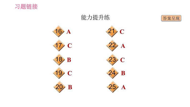人教版九年级下册英语 Unit 14 习题课件03