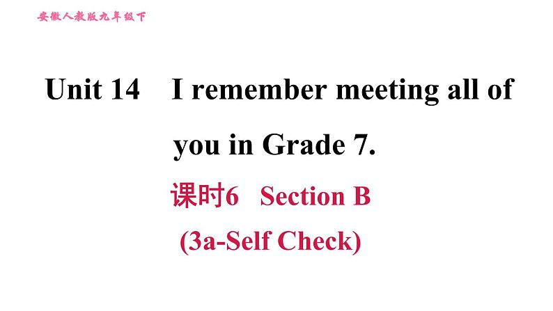 人教版九年级下册英语 Unit 14 习题课件01