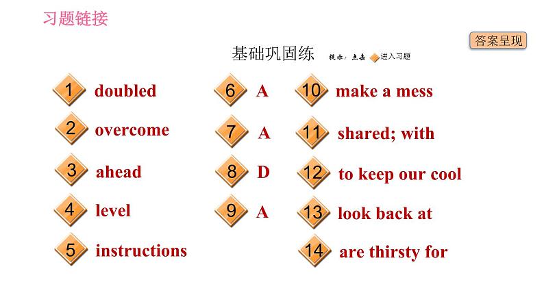 人教版九年级下册英语 Unit 14 习题课件02