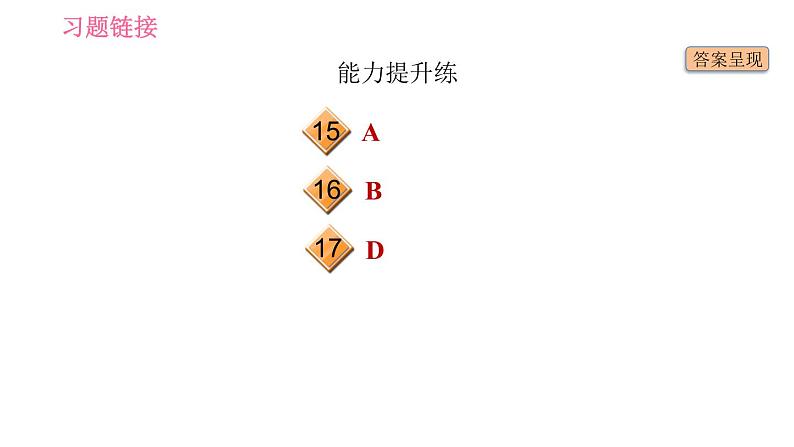 人教版九年级下册英语 Unit 14 习题课件03