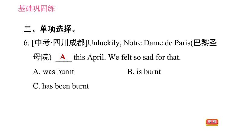 人教版九年级下册英语 Unit 14 习题课件06