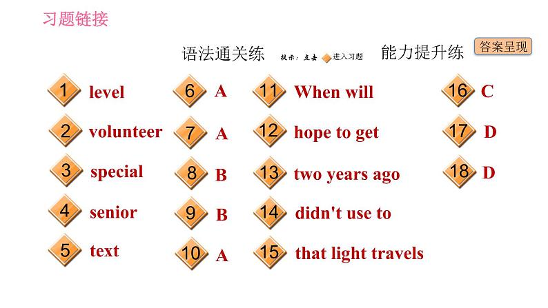人教版九年级下册英语 Unit 14 习题课件02
