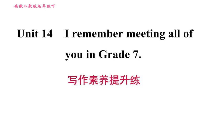 人教版九年级下册英语 Unit 14 习题课件01