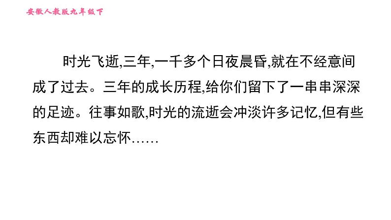 人教版九年级下册英语 Unit 14 习题课件02