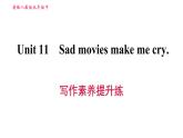 人教版九年級下冊英語課件 Unit 11 寫作素養(yǎng)提升練