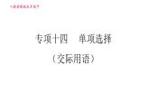 人教版九年级下册英语课件 期末专训 专项十四 单项选择（交际用语）
