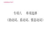 人教版九年级下册英语课件 期末专训 专项八 单项选择（助动词、系动词、情态动词）