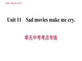人教版九年級下冊英語課件 Unit 11 單元中考考點專練
