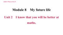 初中英语外研版 (新标准)九年级下册Module 8 My future lifeUnit 2 I know that you will be better at maths.授课课件ppt