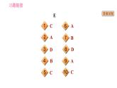 外研版九年级下册英语课件 中考专项训练 专项训练十六 完形填空