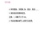 外研版九年級下冊英語課件 Module 5 寫作素養(yǎng)提升練