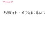 外研版九年级下册英语课件 中考专项训练 专项训练十一 单项选择（简单句）