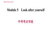 外研版九年级下册英语课件 Module 5 中考考点专练
