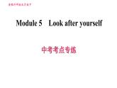 外研版九年級下冊英語課件 Module 5 中考考點專練