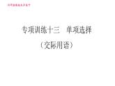 外研版九年级下册英语课件 中考专项训练 专项训练十三 单项选择（交际用语）