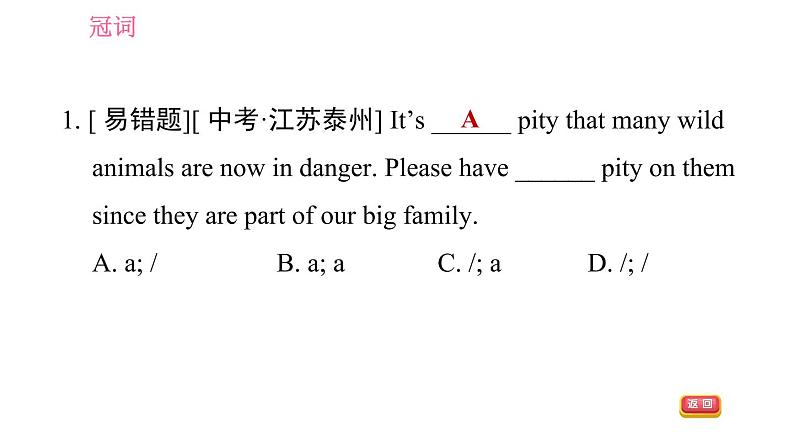 外研版九年级下册英语课件 中考专项训练 专项训练一 单项选择（冠词）第3页