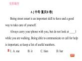 人教版九年级下册英语 期末专训 习题课件