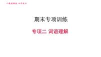 人教版七年级上册英语习题课件 期末专项训练 专项二 词语理解