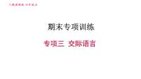 人教版七年级上册英语习题课件 期末专项训练 专项三 交际语言