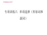 外研版九年级下册英语课件 中考专项训练 专项训练六 单项选择（形容词和副词）