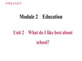 外研版九年级下册英语 Module 2  习题课件