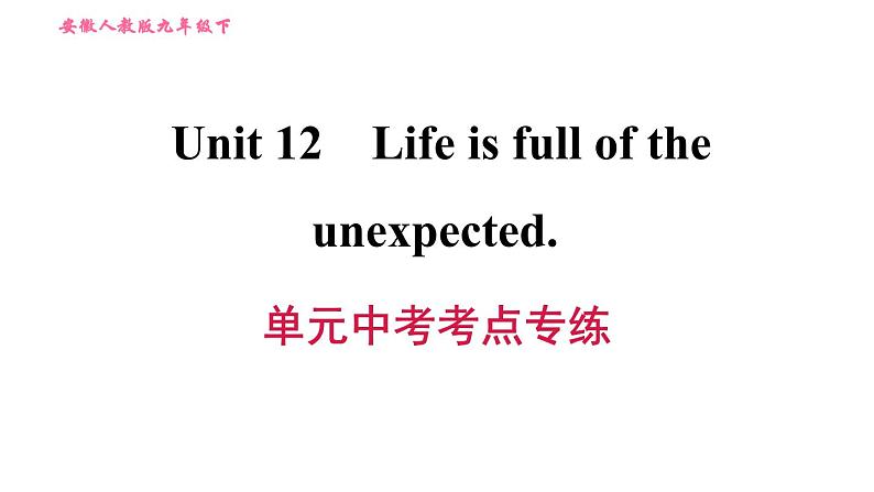 人教版九年级下册英语课件 Unit 12 单元中考考点专练第1页