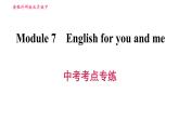 外研版九年级下册英语课件 Module 7 中考考点专练