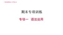 人教版七年级上册英语习题课件 期末专项训练 专项一 语法运用