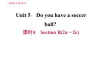 英语七年级上册Unit 5 Do you have a soccer ball?综合与测试习题课件ppt